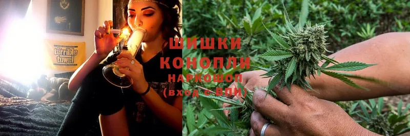 купить   Гурьевск  Канабис Ganja 